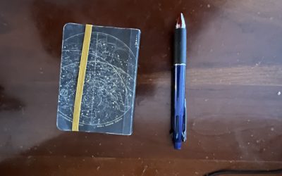 Drowning the Chickens: Why I Slept Instead of Pushed Through